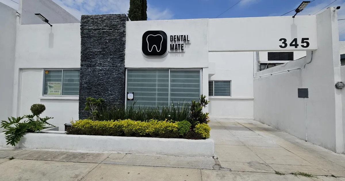 Dentista Dental Mate Slp