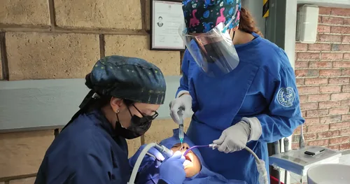 Axolotl Dental, consultorio dental en Azcapotzalco, Ciudad de México