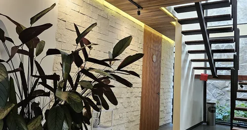 Meraki Dental Care, consultorio dental en Coyoacán, Ciudad de México