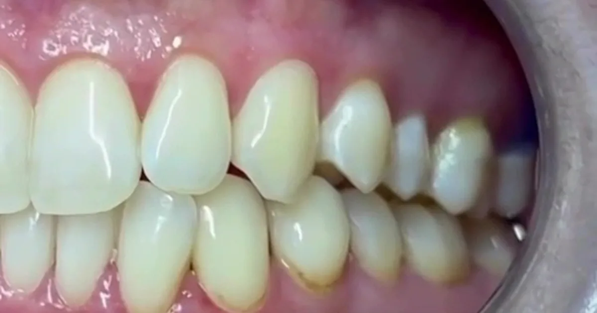Luav Dental Center Dentistas